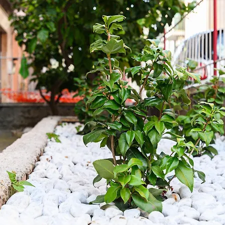 Apartment Il Vicoletto Rome